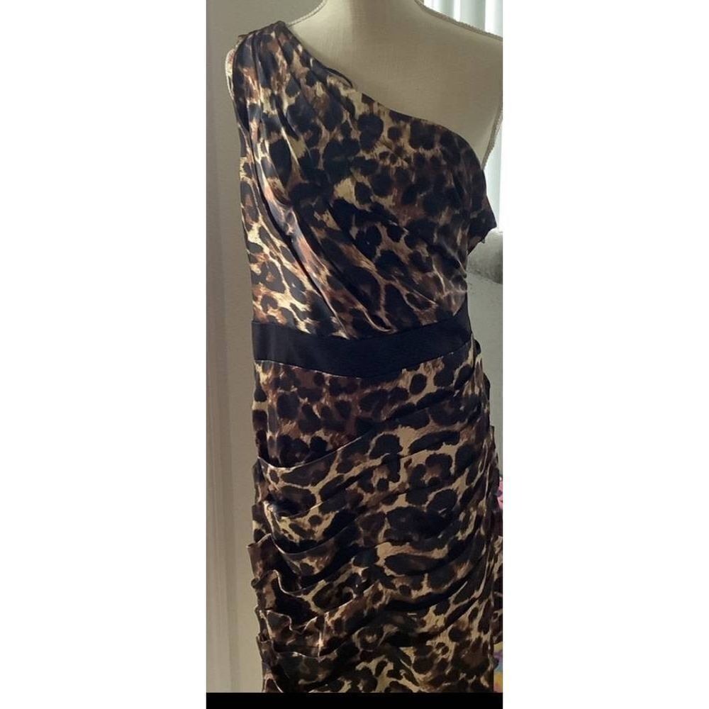 Snap Animal Print Dress